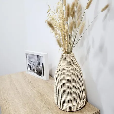 Penedo Grande T1 Apartmán *